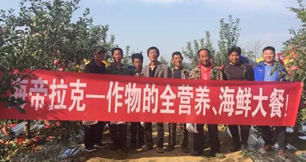 蘋果樹12月管理技術要點！抓緊時間看