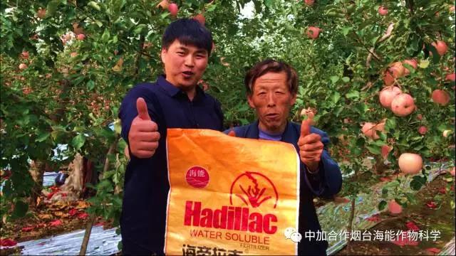 膨果水溶肥 膨果水溶肥