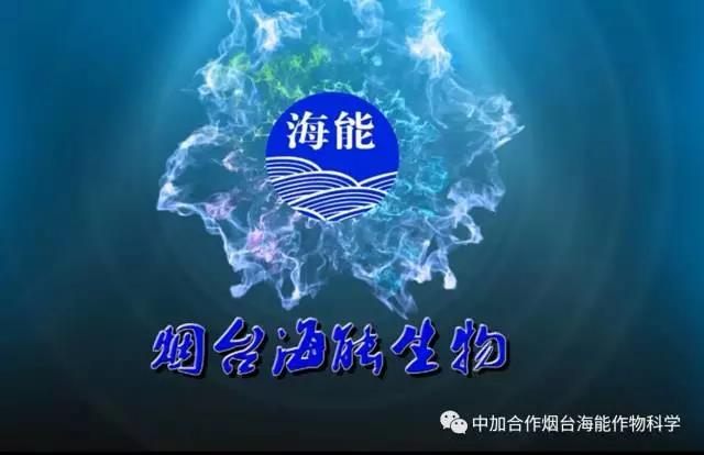 膨果水溶肥 膨果水溶肥