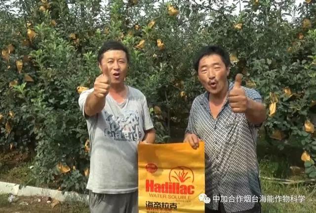 膨果水溶肥 膨果水溶肥