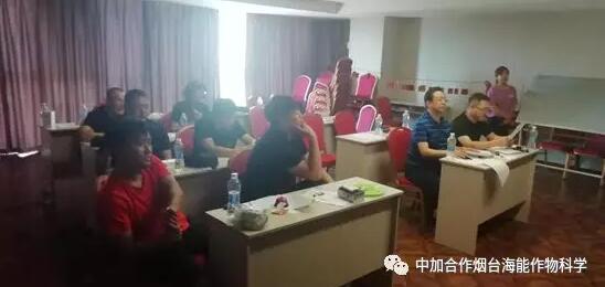 知識競賽爭先鋒，比學趕超展風采