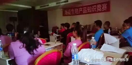 知識競賽爭先鋒，比學趕超展風采