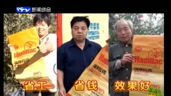 蘋果樹12月管理技術要點！抓緊時間看