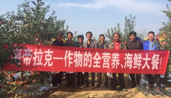 蘋果樹12月管理技術要點！抓緊時間看