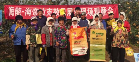 蘋果樹12月管理技術要點！抓緊時間看