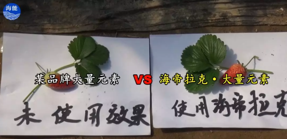 水肥一體化不止是節水、節肥！還有這功效！
