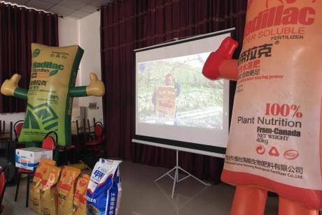 圍觀五一成人漫画生物幫農資零售店開展的會議
