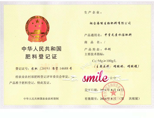付出終會有回報，功夫不負有心人