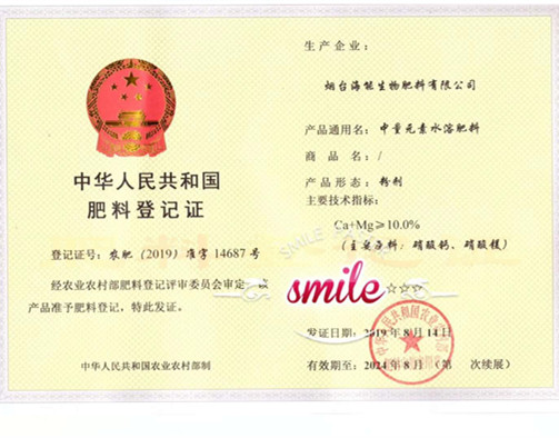 付出終會有回報，功夫不負有心人