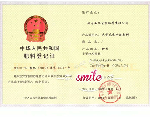 付出終會有回報，功夫不負有心人