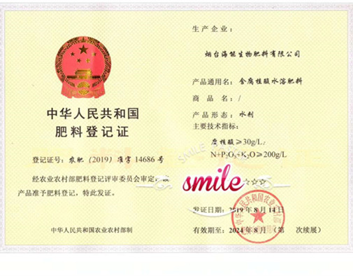 付出終會有回報，功夫不負有心人