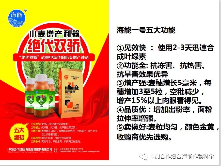 抗寒利器，五一成人漫画1號